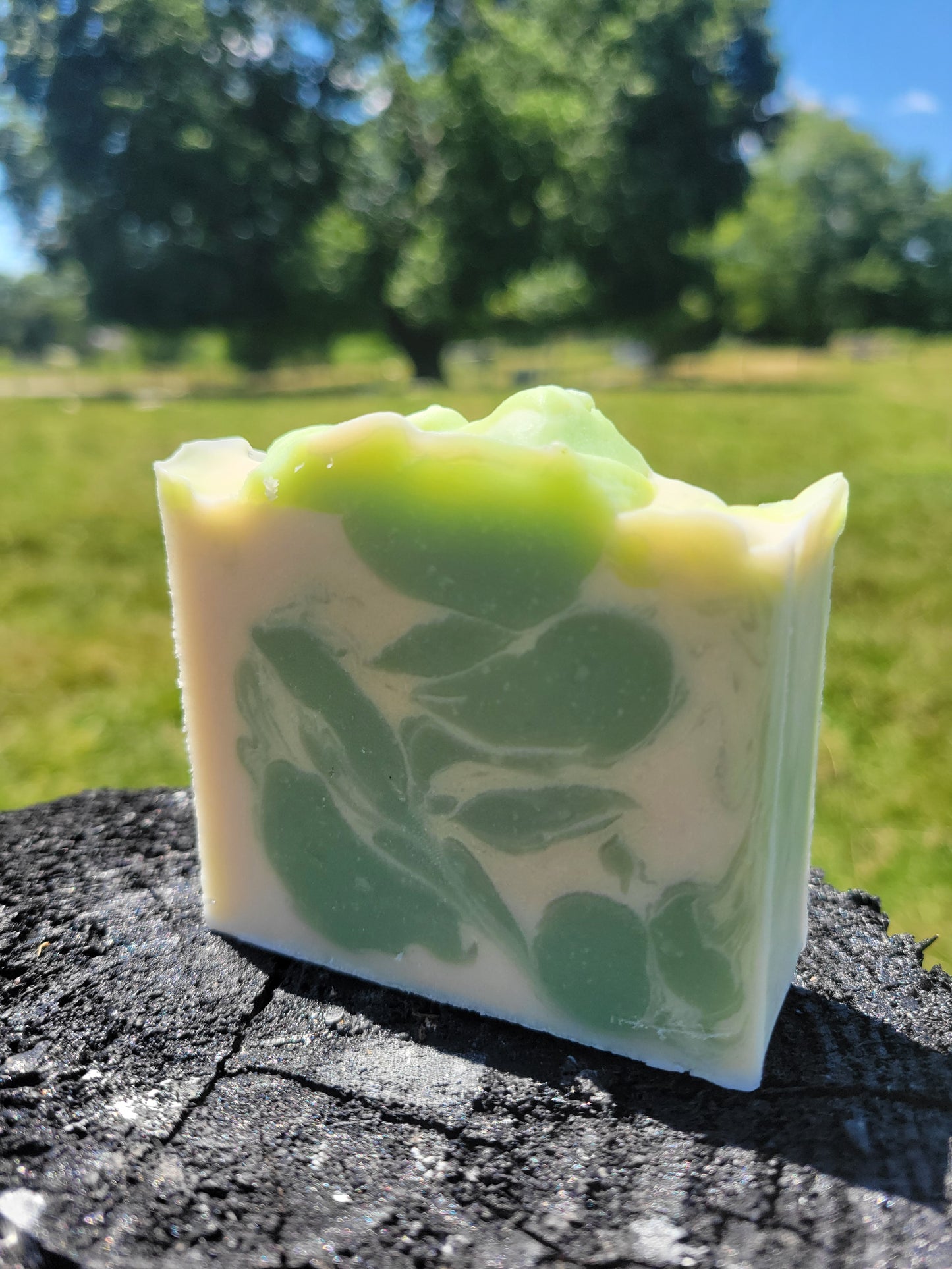 Cucumber Melon Goat Milk Soap